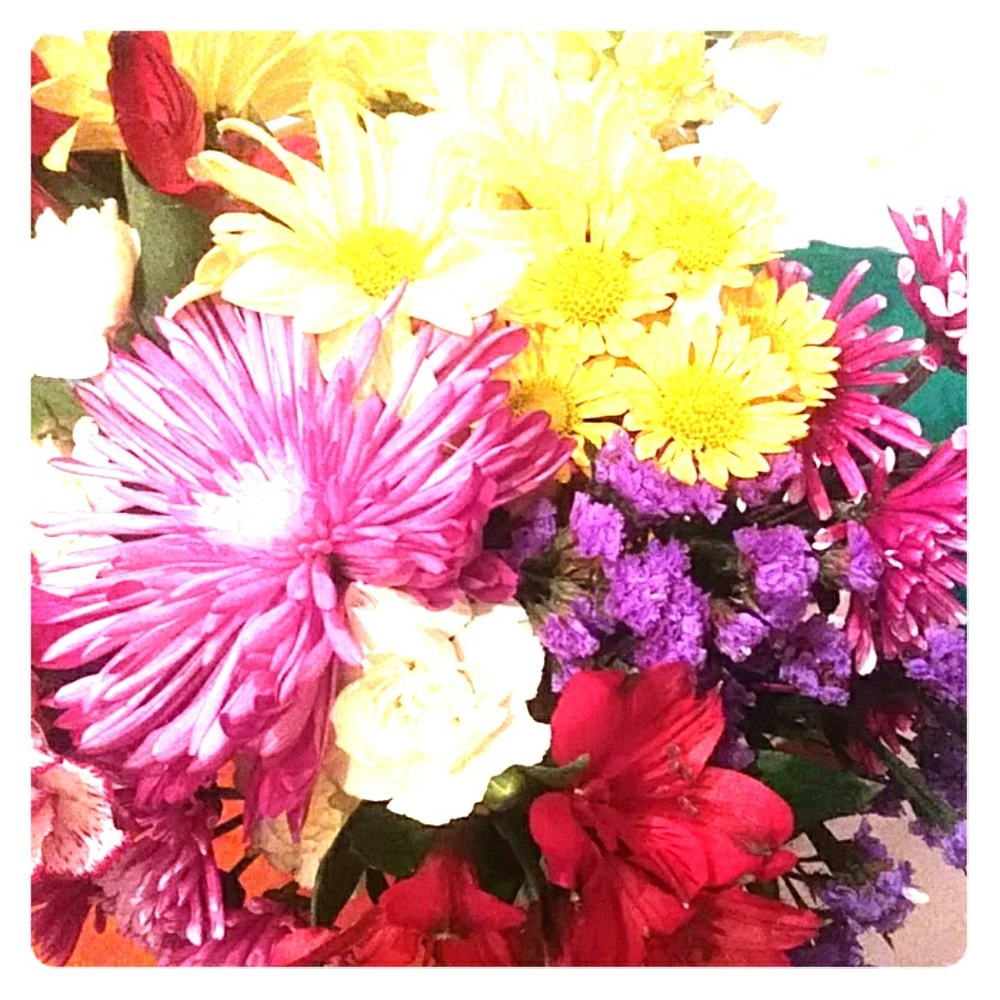 Meet your Posher, SheKnows